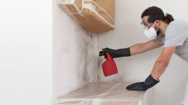 Professional Bathroom Mold Removal technician working in Conshohocken, PA